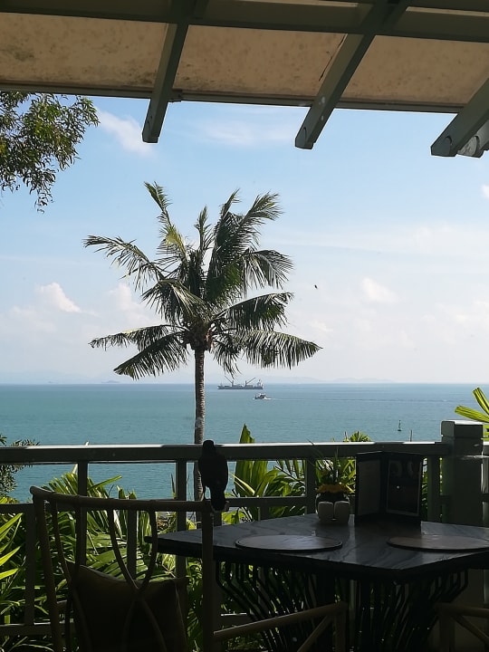 Gastro Amatara Welleisure Resort