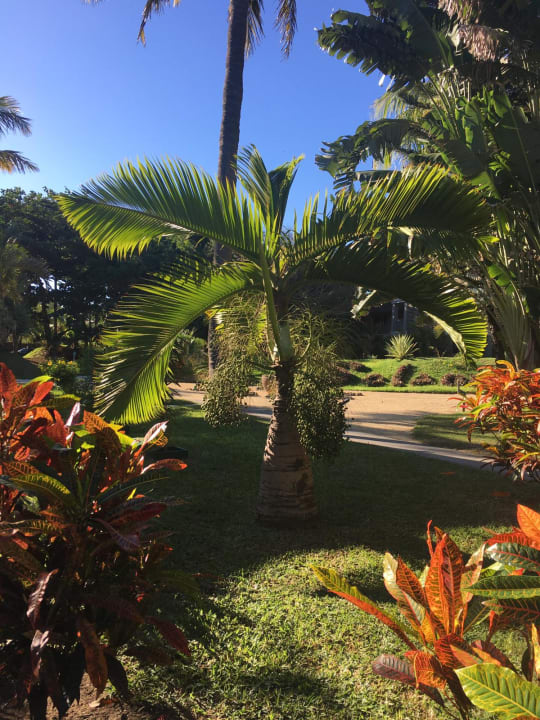 Gartenanlage Solana Beach Mauritius