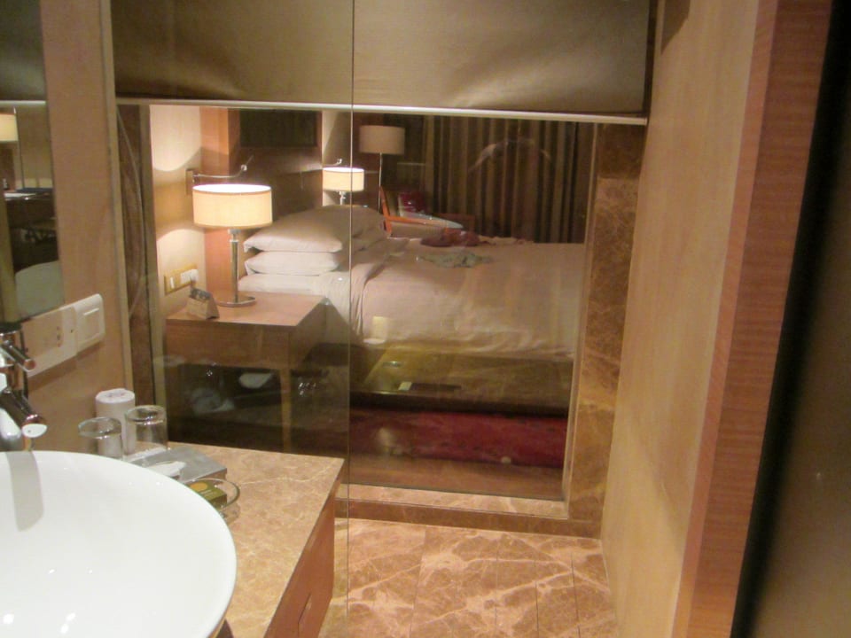 Hohe Qualität Radisson Blu Hotel New Delhi Dwarka