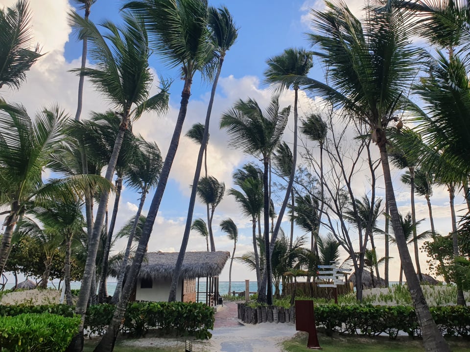 Gartenanlage Hotel Grand Palladium Palace Resort, Spa & Casino