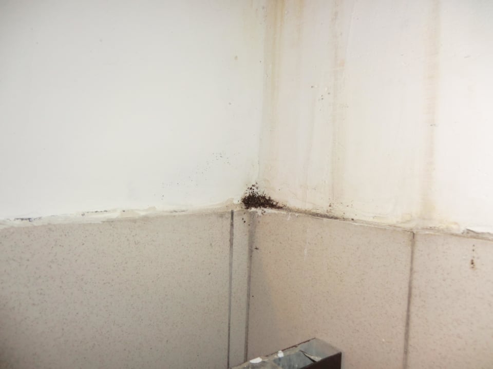 Dusche Hotel Koggala Beach