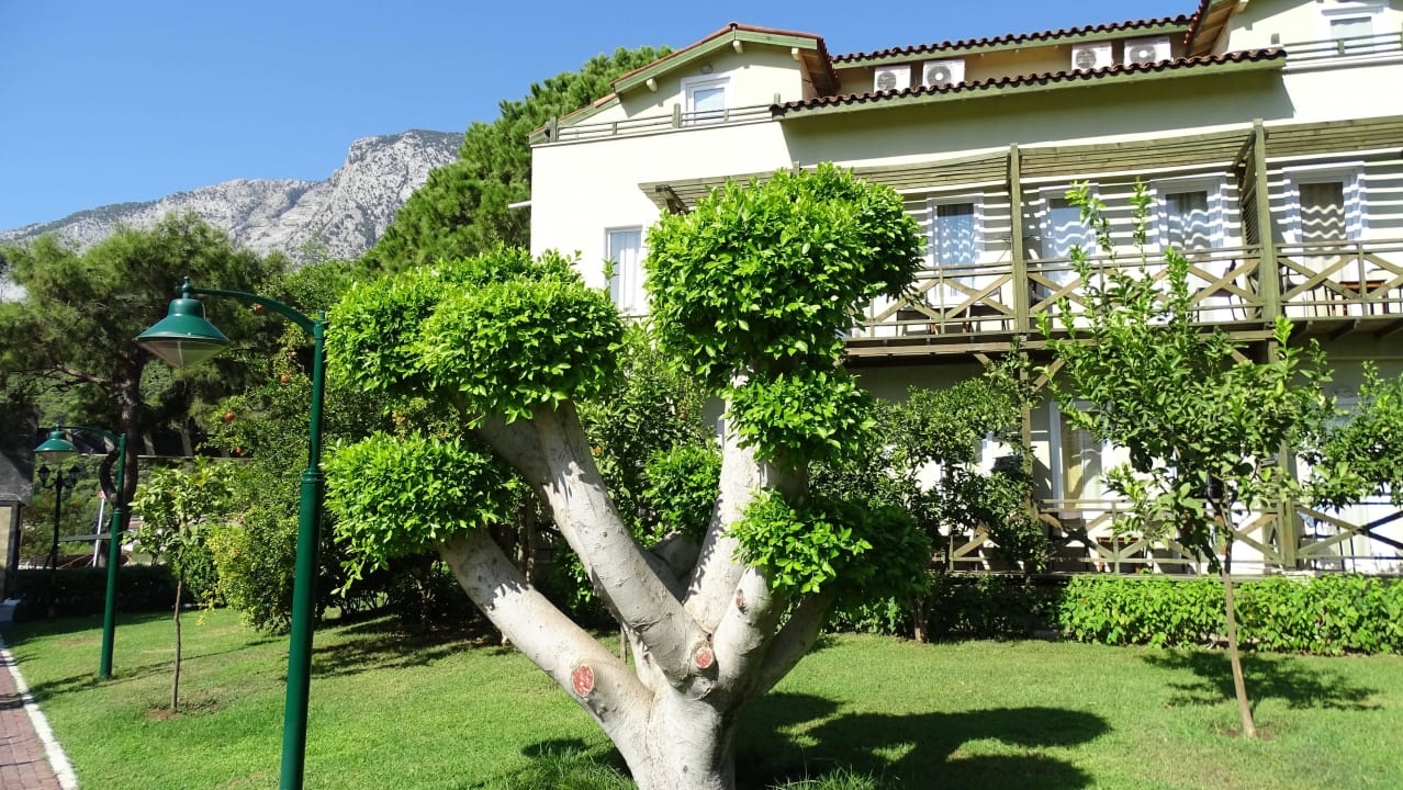 Blick zum Gebirge Crystal Flora Beach Resort