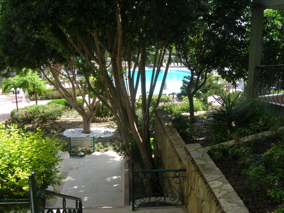 Weg zum Pool Hotel Gardenia Beach