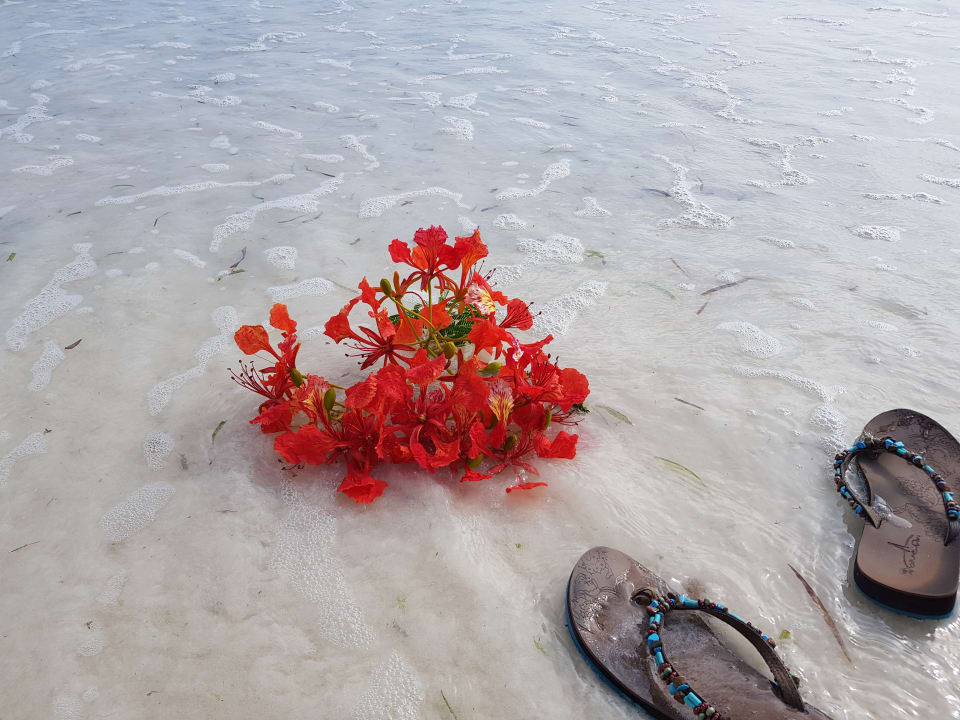 Strand Neptune Pwani Beach Resort & Spa