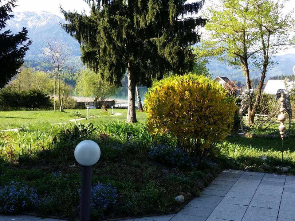 Garten  Das Moser - Hotel am See