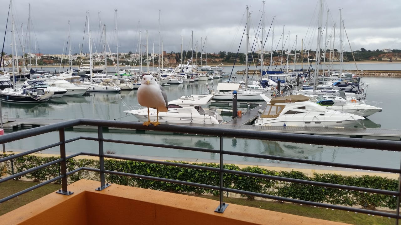 Blick über den Balkon zum Jachthafen NH Marina Portimão Resort