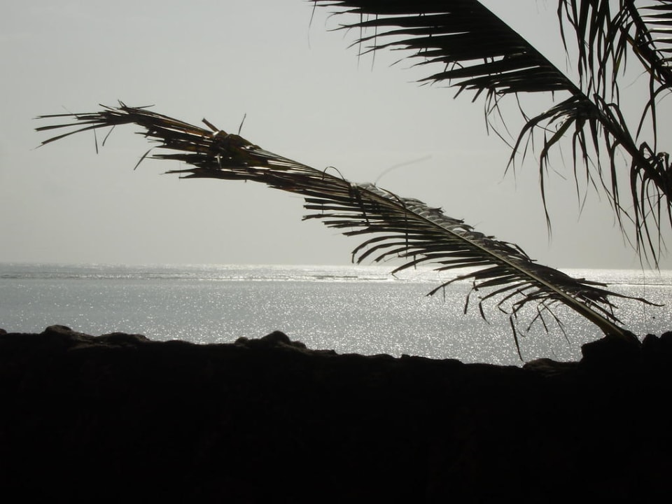 Aussicht vom Liegeplatz Reef Hotel Mombasa