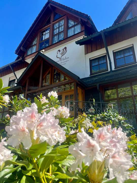 Außenansicht Apart B&B Hotel Goldener Hahn