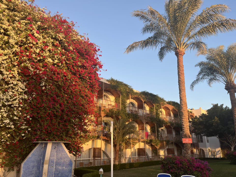 Außenansicht Desert Rose