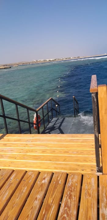 Ausblick Malikia Resort Abu Dabbab