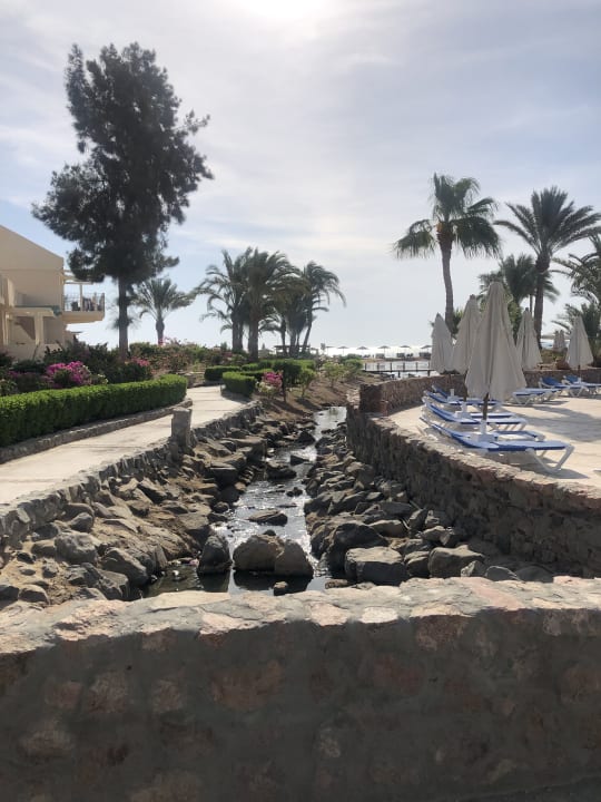 Gartenanlage Mövenpick Resort & Spa El Gouna