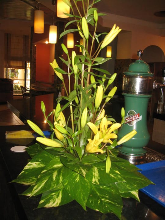 Schöne Blumengestecke Hotel Melia Varadero