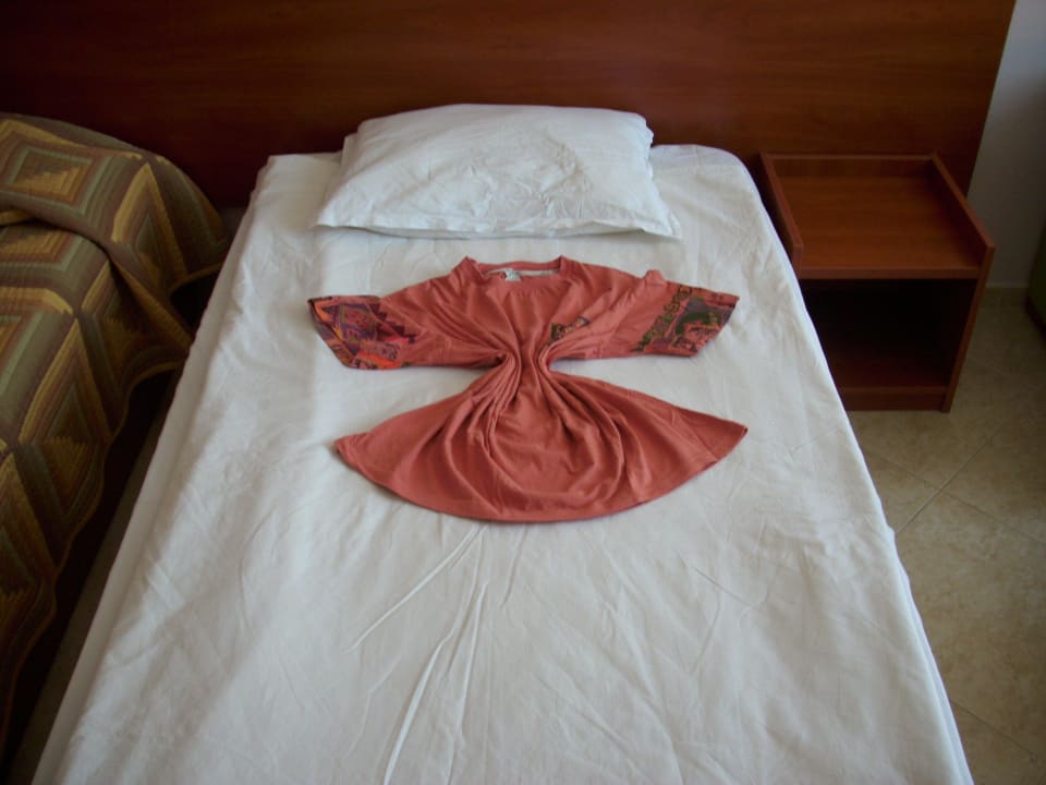 Immer ein neues Motiv der Zimmermaid Hotel Ivana Palace