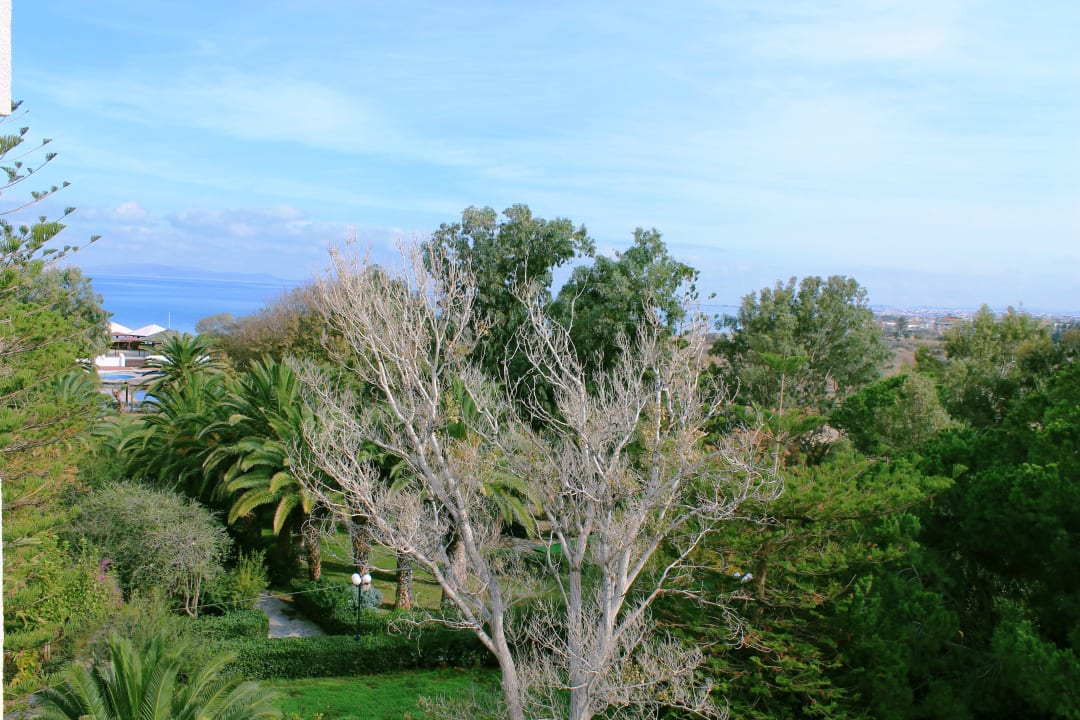 Gartenanlage Apollonia Beach Resort & Spa