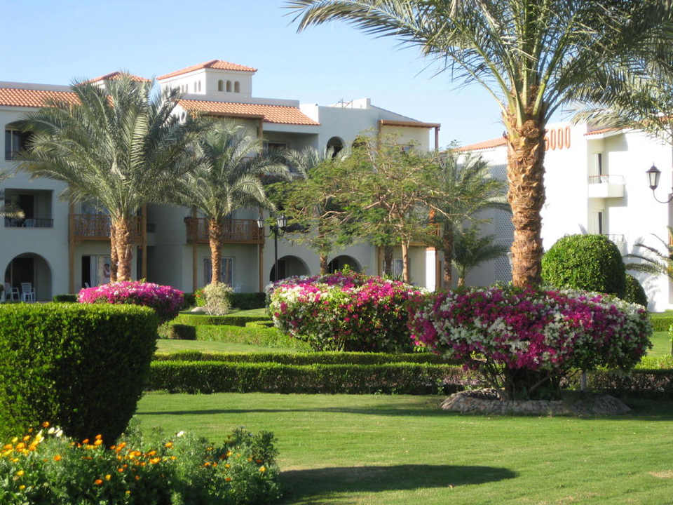 Garten Pickalbatros Dana Beach Resort - Hurghada