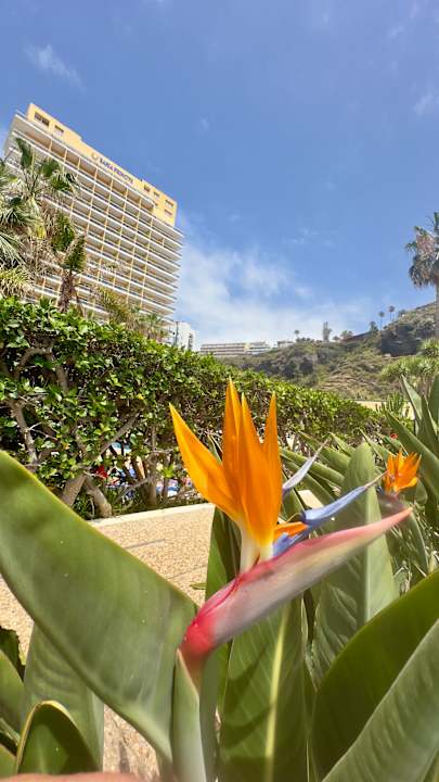 Außenansicht Bahia Principe Sunlight San Felipe