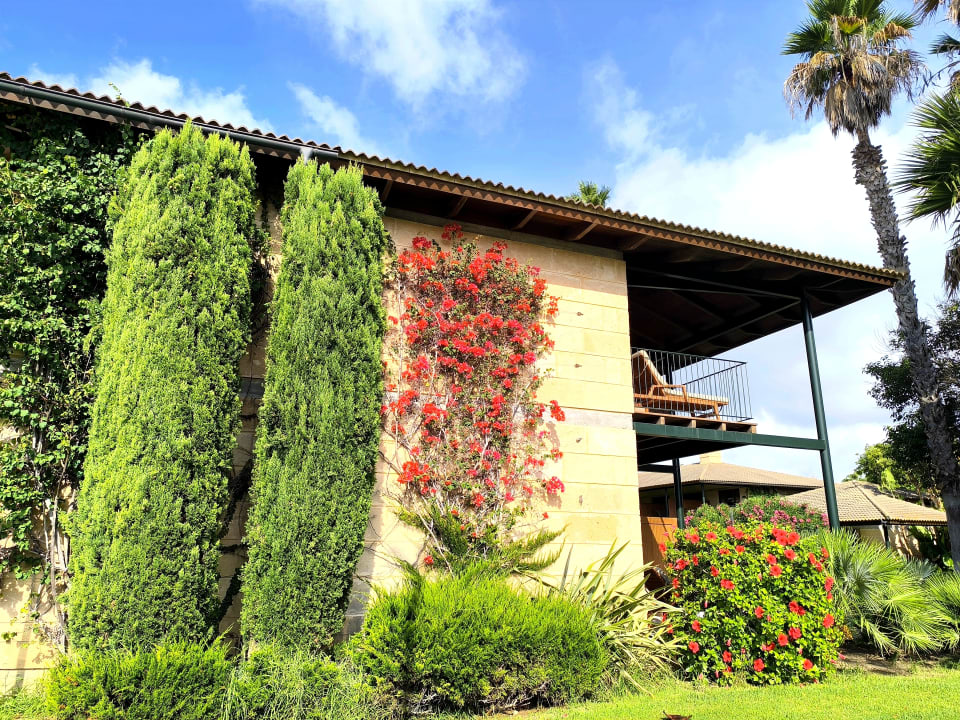 Gartenanlage PortBlue Club Pollentia Resort & Spa