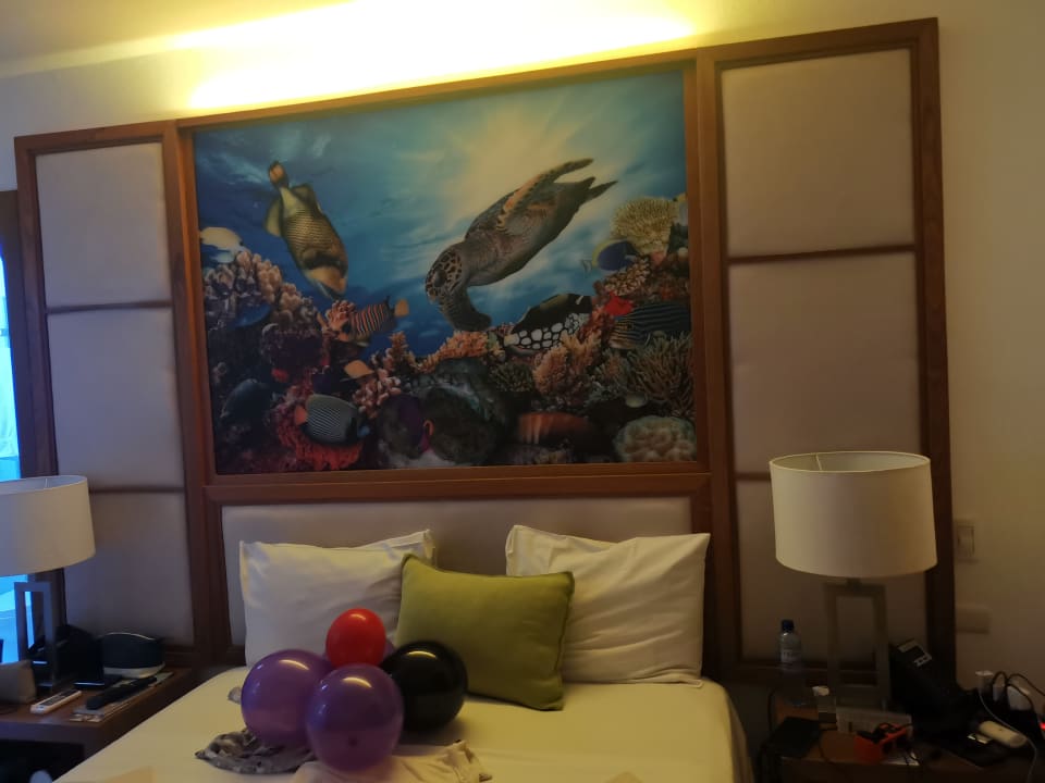 Zimmer whala!bávaro