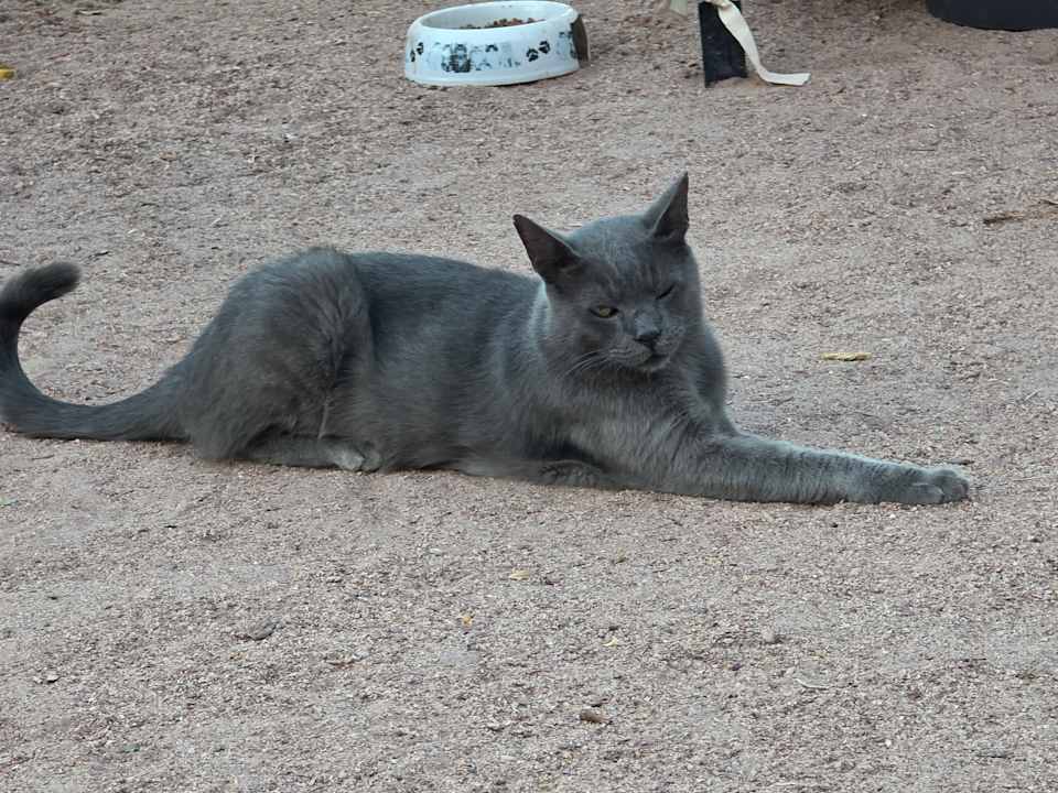 Gartenanlage Giftun Azur Resort