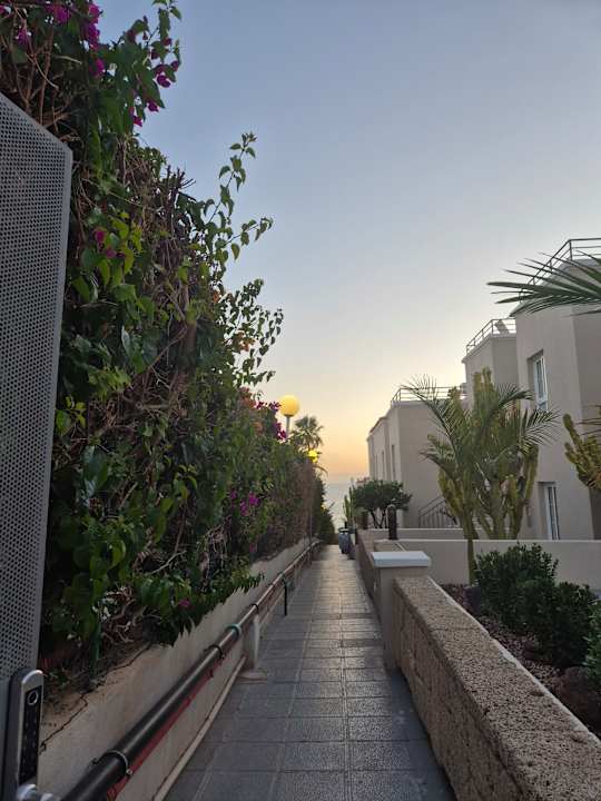 Gartenanlage Los Olivos Beach Resort