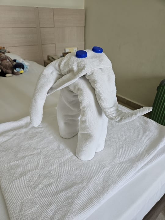 Zimmer Hotel Gardenia Beach