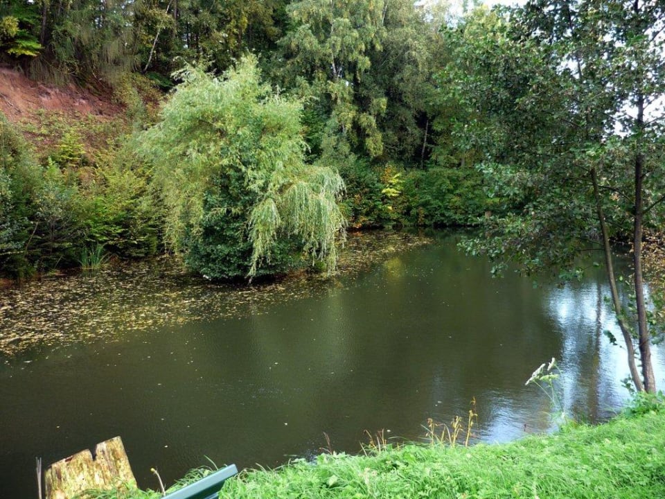 Fischteich KNAUS-Campingpark Walkenried