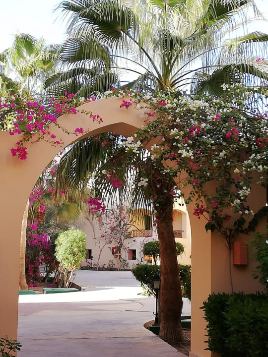 Sonstiges Steigenberger Coraya Beach - Adults only