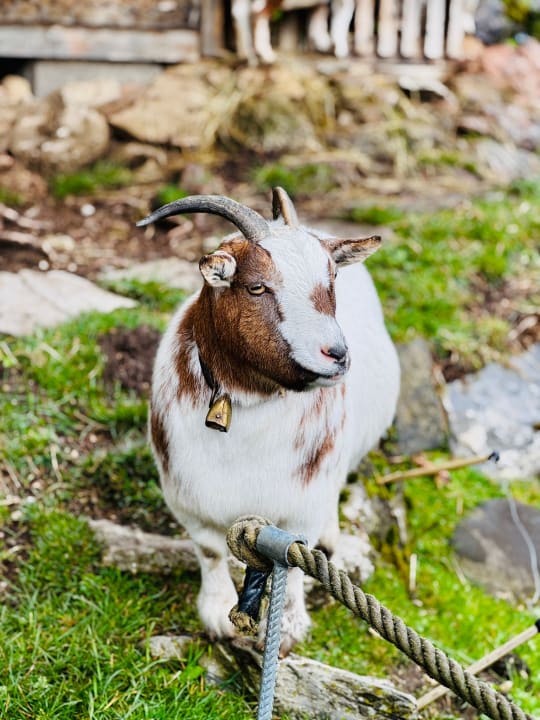 Gartenanlage Oberjoch - Familux Resort