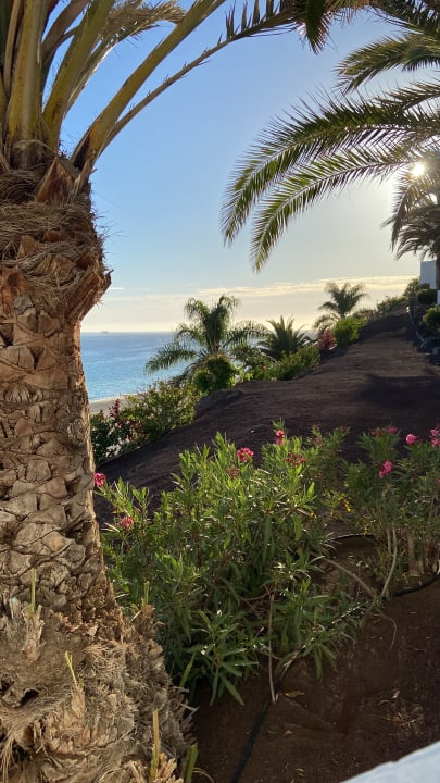 Ausblick Hotel Riu Palace Jandia