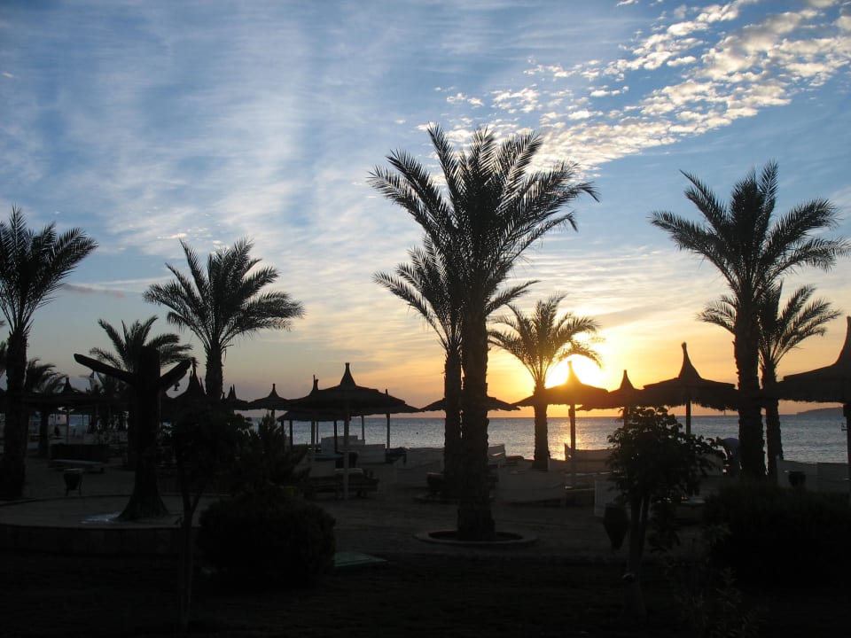 Zonsopkomst Beach Albatros Resort