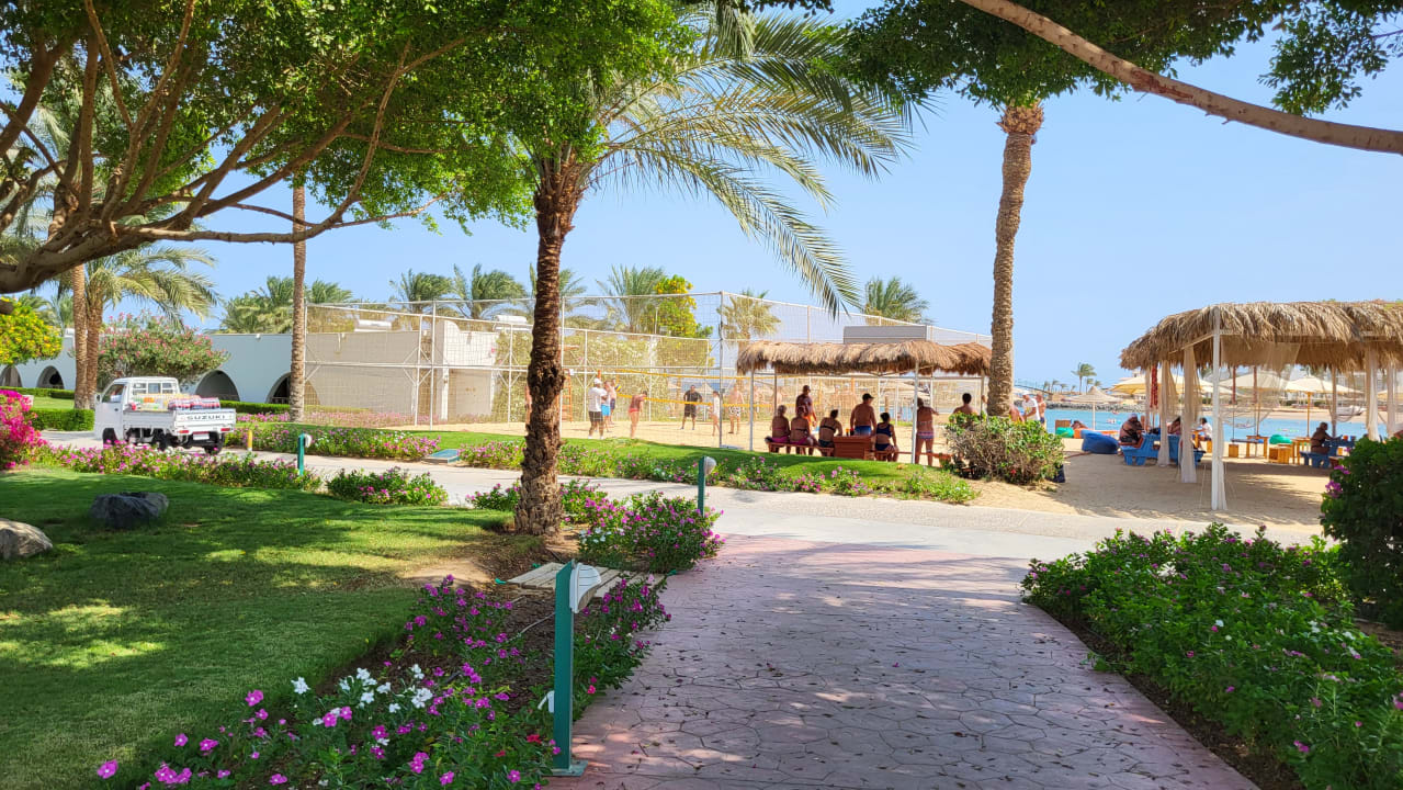 Sport & Freizeit Desert Rose