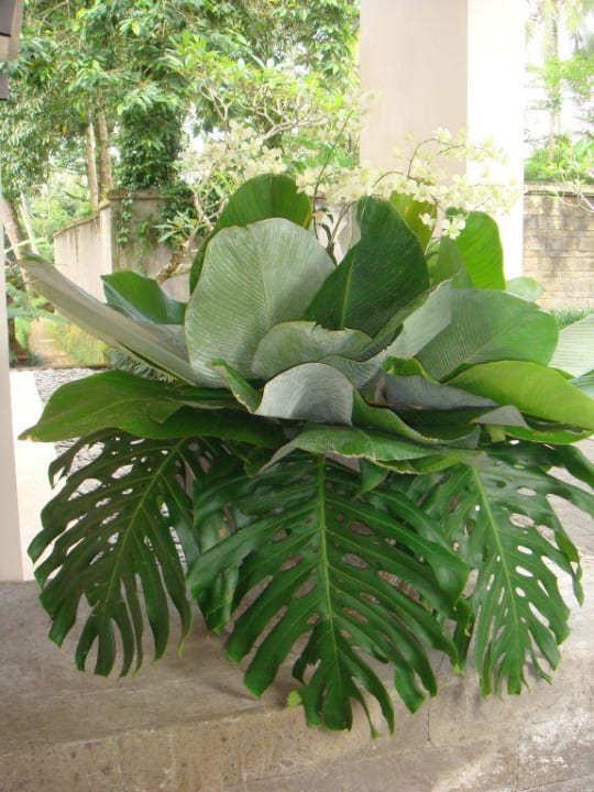 Lobbyeingang COMO Shambhala Estate