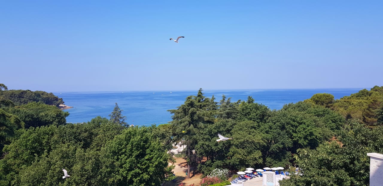 Außenansicht Rubin Hotel