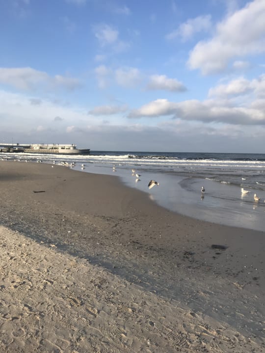 Strand Marine & Ultra Marine