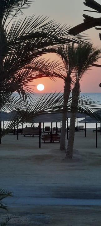 Strand Pickalbatros Sands Hotel - Port Ghalib
