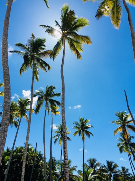 Strand Wyndham Alltra Samana