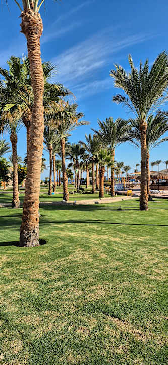 Gartenanlage Three Corners Sea Beach Resort