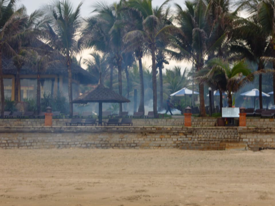 Um 5:00 wirg gegen Mosquitos gespritzt Pandanus Resort