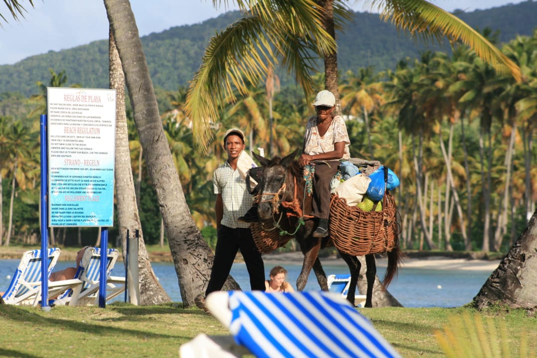 Einheimische Wyndham Alltra Samana