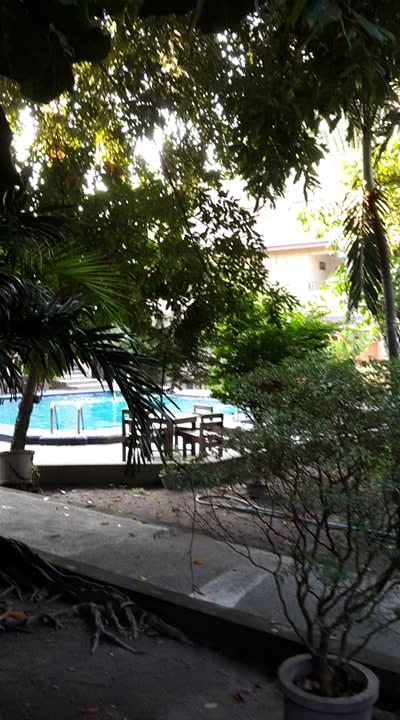 Pool Hotel The Cottage