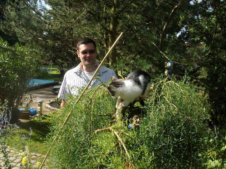 *Tieger* auf Entdeckungsreise Landferienhaus Erika