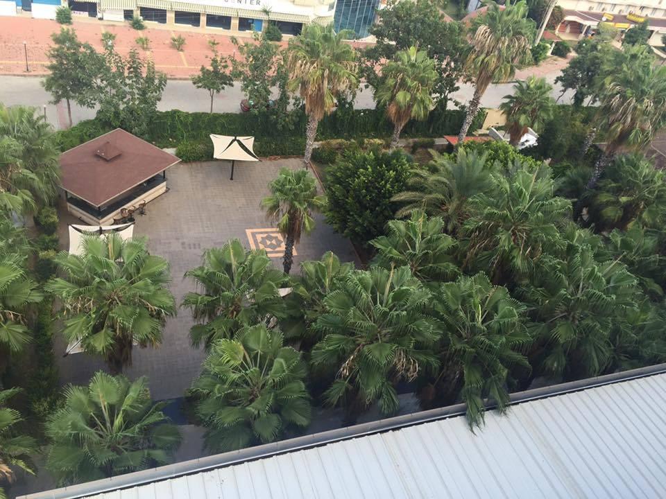Ausblick von oben Hotel Royal Garden Beach