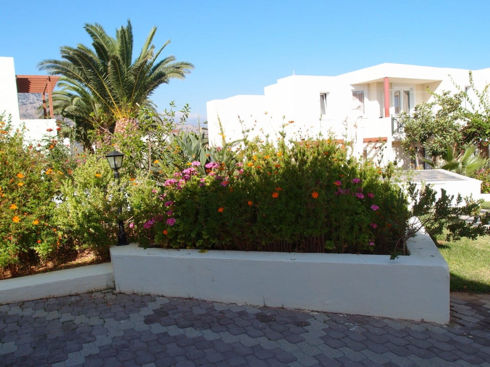 Ogród HARPIN Georgioupolis Resort Aquapark & SPA