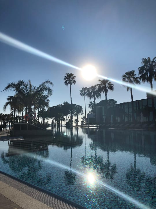 Pool Acanthus Cennet Barut Collection