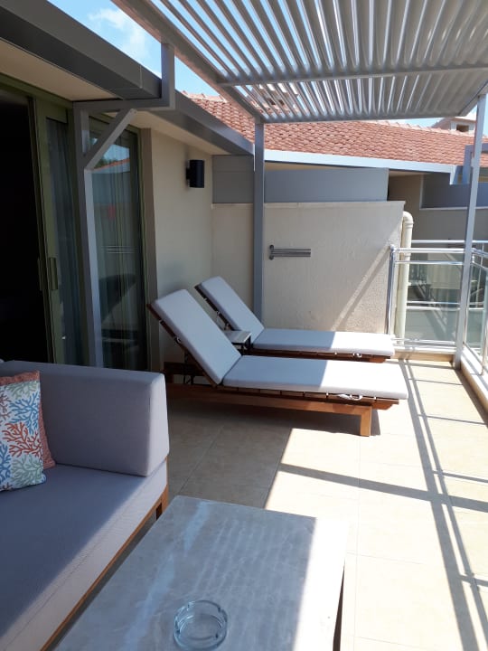 Zimmer Arum Barut Collection