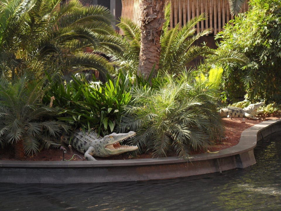 Krokodill Lopesan Baobab Resort