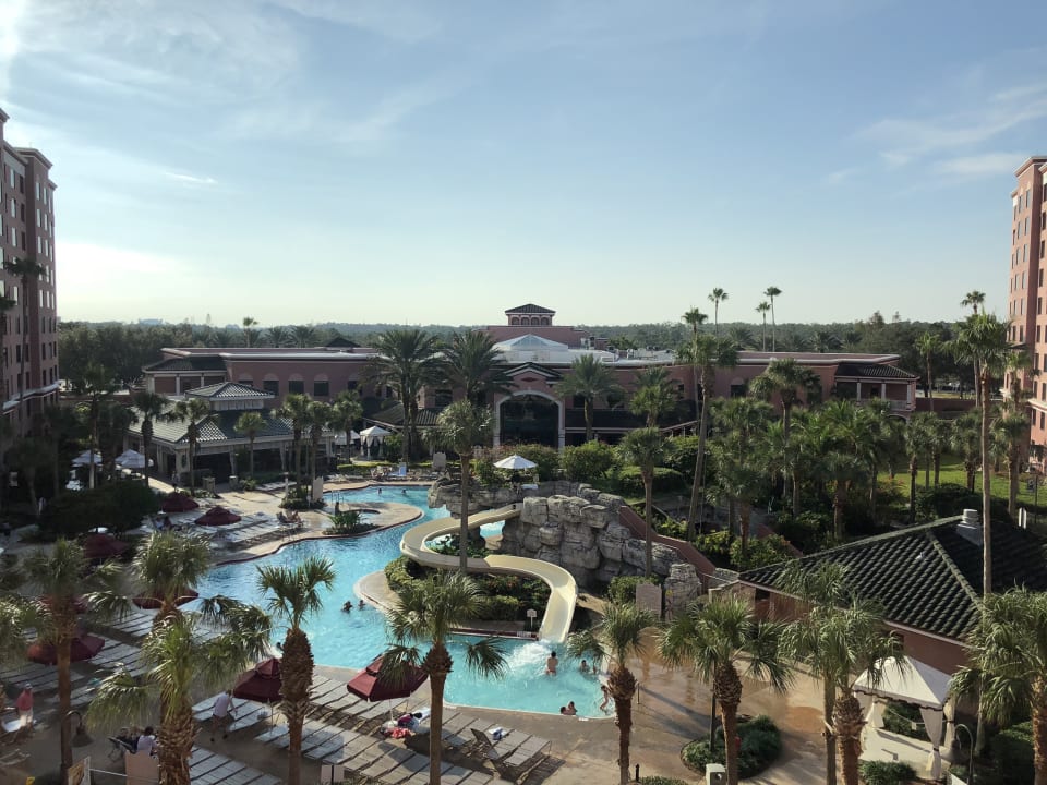 Pool Hotel Caribe Royale Resort Suites