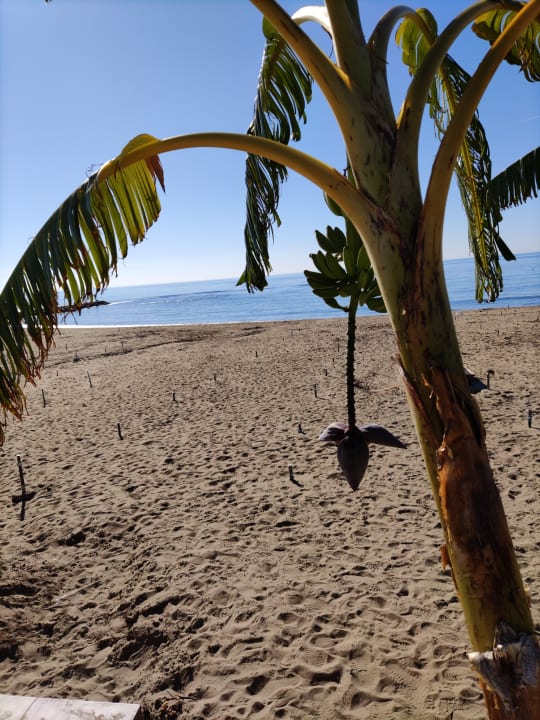 Strand Seaden Quality Resort & Spa