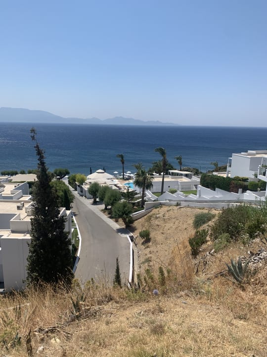 Ausblick Dimitra Beach Hotel & Suites