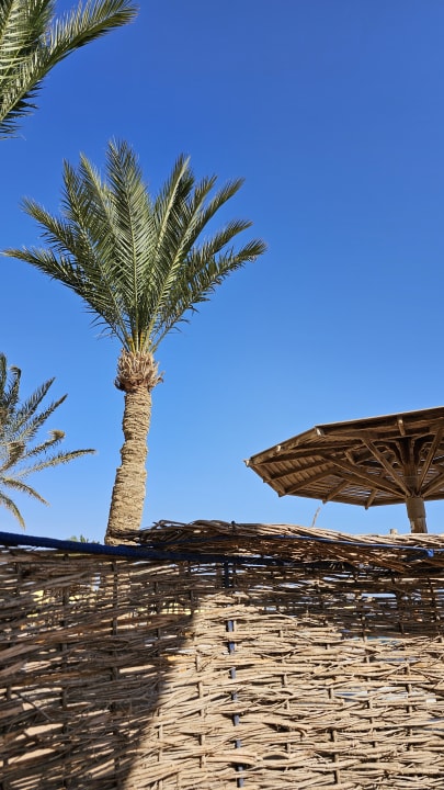 Ausblick Palm Beach Resort